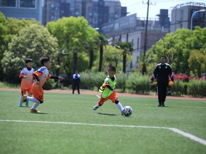 Bsports简介